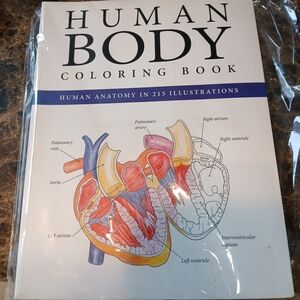 Human Body Coloring Book - Anatomical Illustration (White, Blue, Red) New